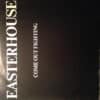 Easterhouse – Come Out Fighting - 1989 (Primer Planchado- Rareza) - Imagen 2