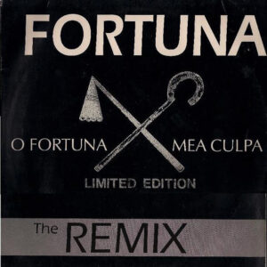 Fortuna Feat. Satenig – O Fortuna Mea Culpa (The Remix) 1991